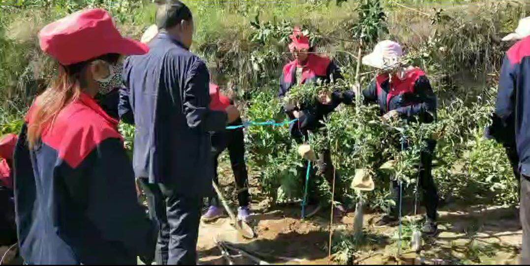 泓源力量助力脫貧攻堅—— 學(xué)好果園管理技能 鋪好脫貧致富之路(圖3) 泓源力量助力脫貧攻堅—— 學(xué)好果園管理技能 鋪好脫貧致富之路(圖3)